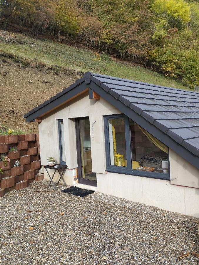 Bed and Breakfast L'Ecrin Des Biches Sainte-Marie-aux-Mines Exterior foto